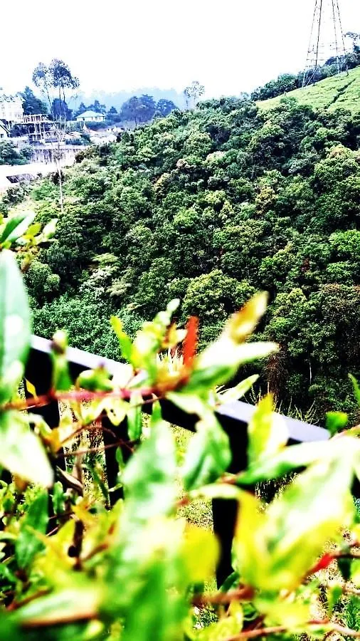 Green Gregory Villa Νουβάρα Ελίγια